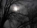 Winter Moom