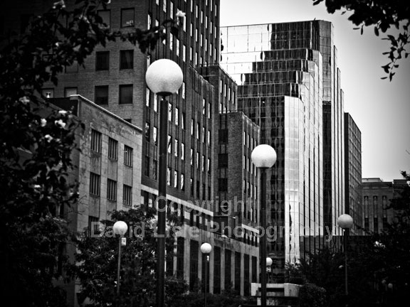 City Reflections