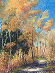 Walking Trough Aspens