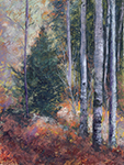 Autumn Colors