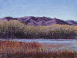 Bosque del Apache
