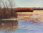 Bosque Reflections